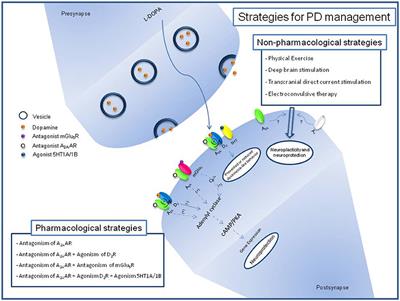 Targeting Adenosine Signaling in Parkinson's Disease: From Pharmacological to Non-pharmacological Approaches